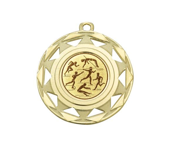 Medaille BS.ME94 Ø 50mm - Gold / 50 mm