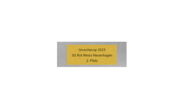 Fußball Pokal FG401 - Silber Mehrfarbig / 27 cm