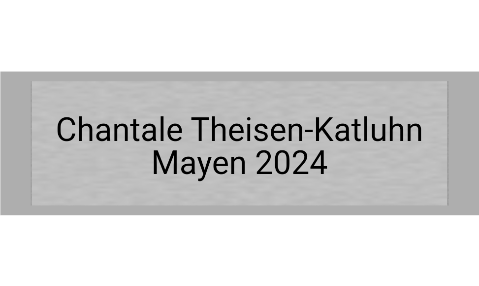 Gravurschild Silber selbstklebend - Silber / 50 x 15 mm