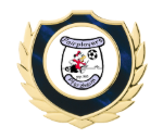 Holztafel Wappen H7 Schild & Emblem - Blau / Braun / Gold / 150x185 mm