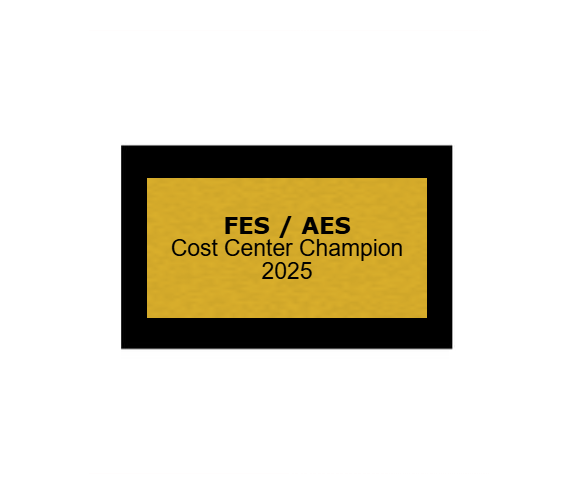 Fußball Pokal 85-3 teilweise begrenzt! - Silber Gold / 28 cm