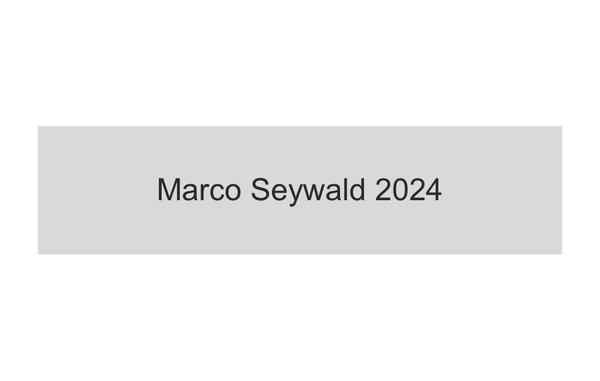 Gravurschild Silber selbstklebend - Silber / 60 x 15 mm