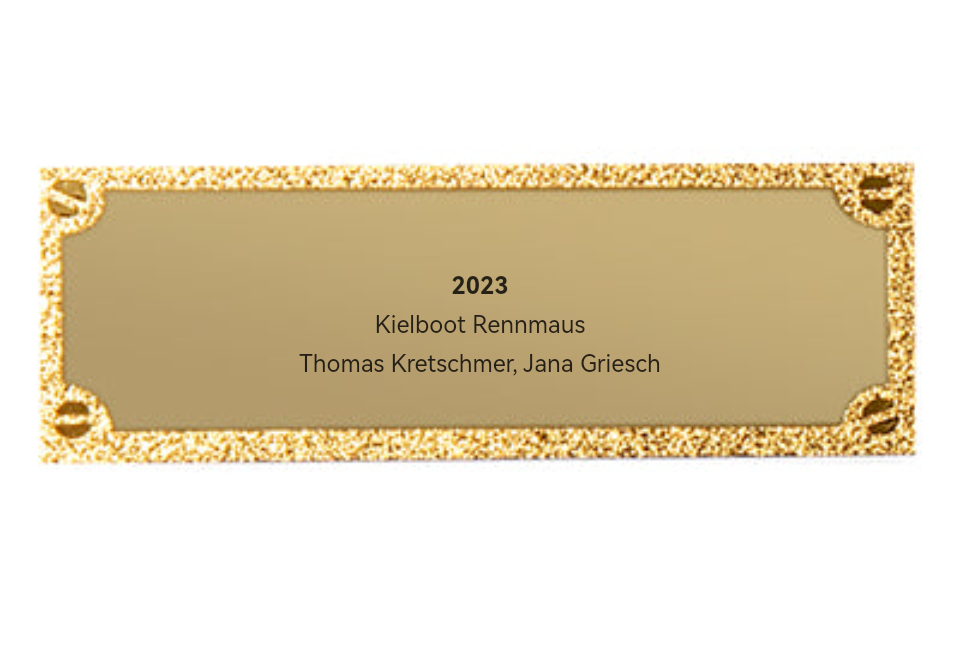 Gravurschild edel in Gold - Gold / 50 x 18 mm