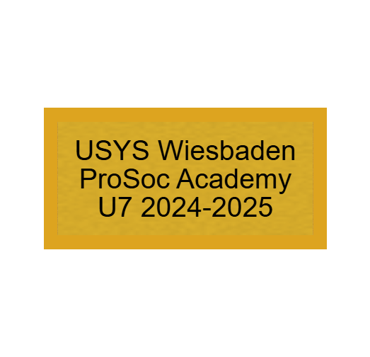 Fußball Pokal 230.01 - Gold / 12.5 cm / SM