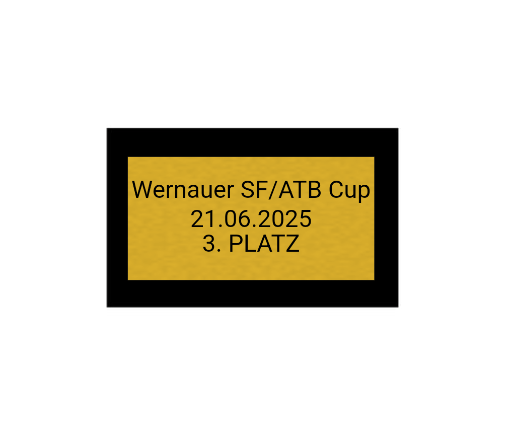 Fußball Pokal 85-3 teilweise begrenzt! - Silber Gold / 32 cm