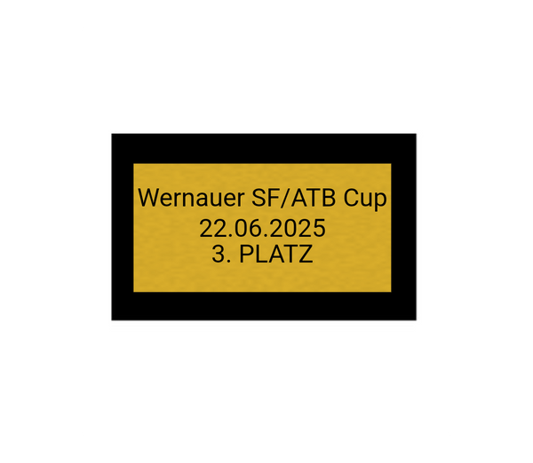 Fußball Pokal 85-3 teilweise begrenzt! - Silber Gold / 32 cm