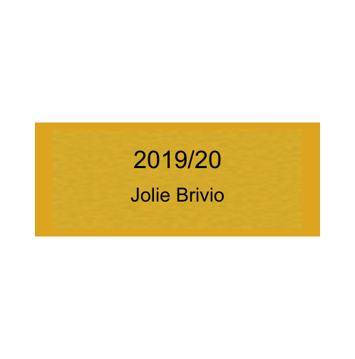 Gravurschild Gold selbstklebend - Gold / 50 x 20 mm