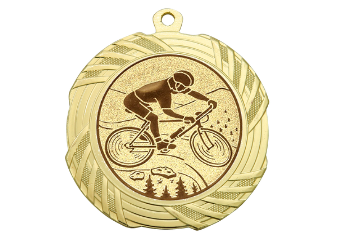 Medaille BS.ME95 Ø 70 mm - Gold / 70 mm