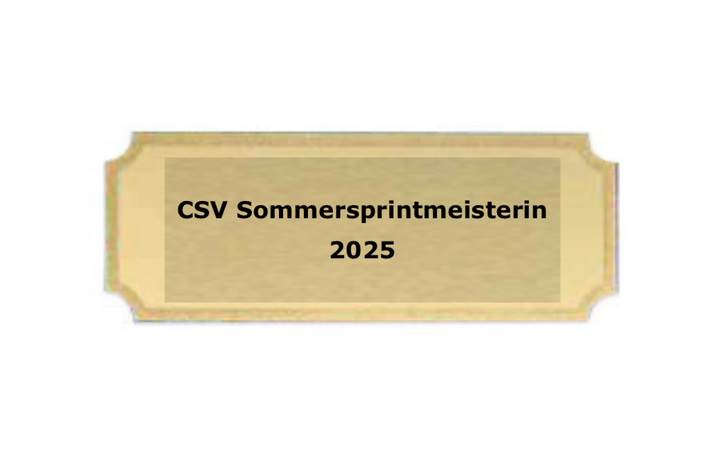 Gravurschilder mit Feinschliff - Gold / 49x18mm