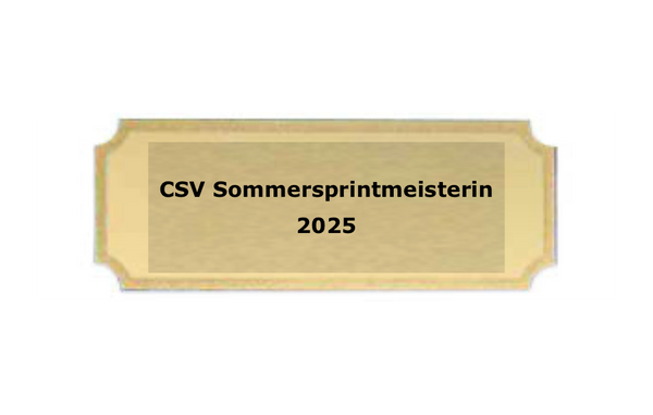 Gravurschilder mit Feinschliff - Gold / 49x18mm