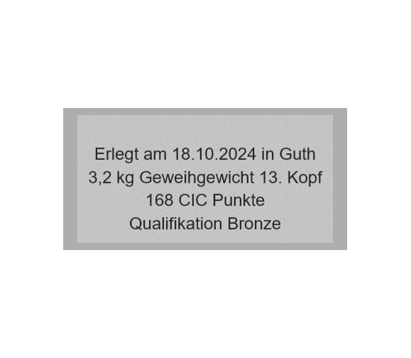 Gravurschild Silber selbstklebend - Silber / 60 x 30 mm