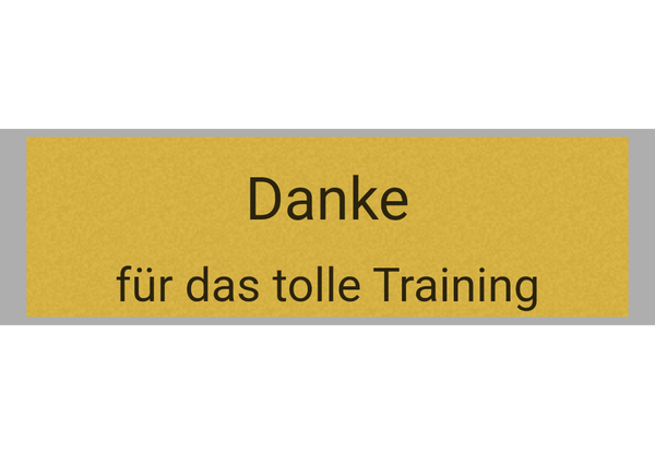 Pokal Serie 120 - 24 cm / Silber/Gold
