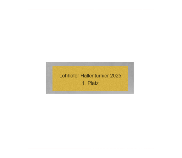 Fußball Pokal 044 - Silber - Gold / 14 cm