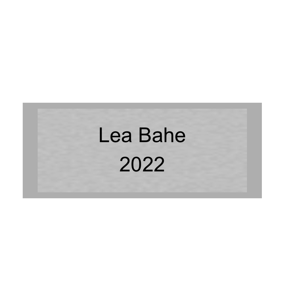 Gravurschild Silber selbstklebend - Silber / 50 x 20 mm