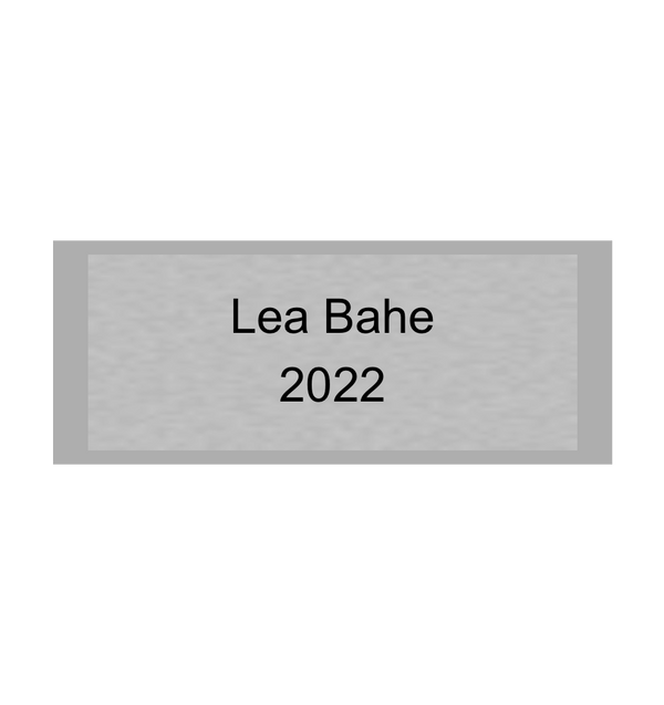 Gravurschild Silber selbstklebend - Silber / 50 x 20 mm