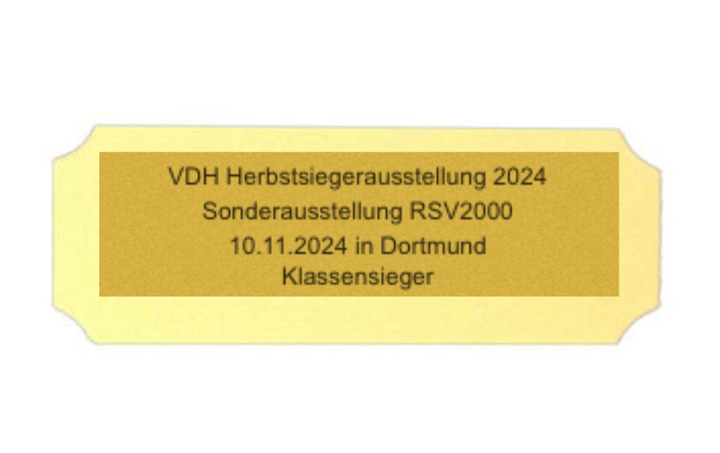 Kunststoff matt Gold slbstklebend - Gold/Kunststoff / 106 x 30 x 0.8 mm