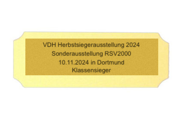 Kunststoff matt Gold slbstklebend - Gold/Kunststoff / 106 x 30 x 0.8 mm