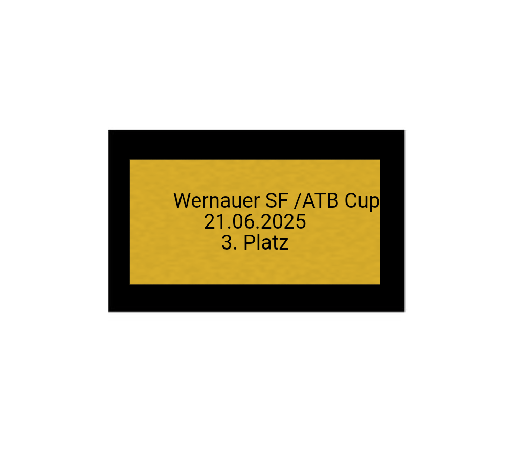 Fußball Pokal 85-3 teilweise begrenzt! - Silber Gold / 32 cm