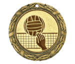 Medaille D8D Ø 70 mm - Gold / 70 mm