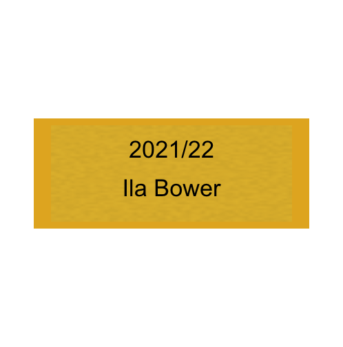 Gravurschild Gold selbstklebend - Gold / 50 x 20 mm