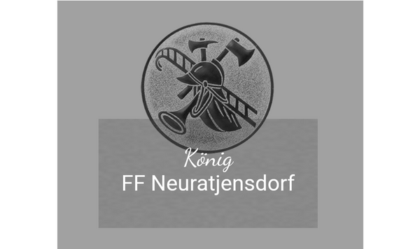 Ehrentafel 188-51 - 25x20 cm / Blau/Silber