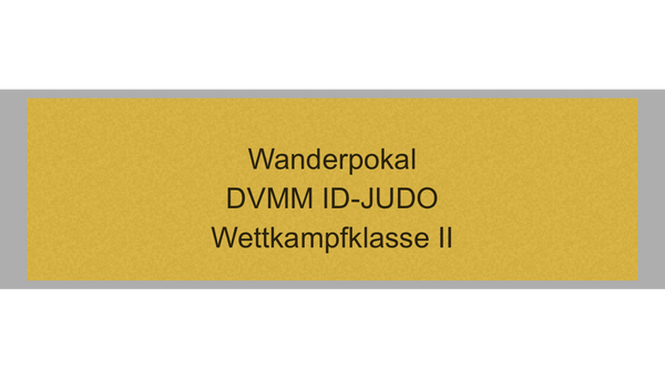 Pokal Serie 120 - 33 cm / Silber/Gold