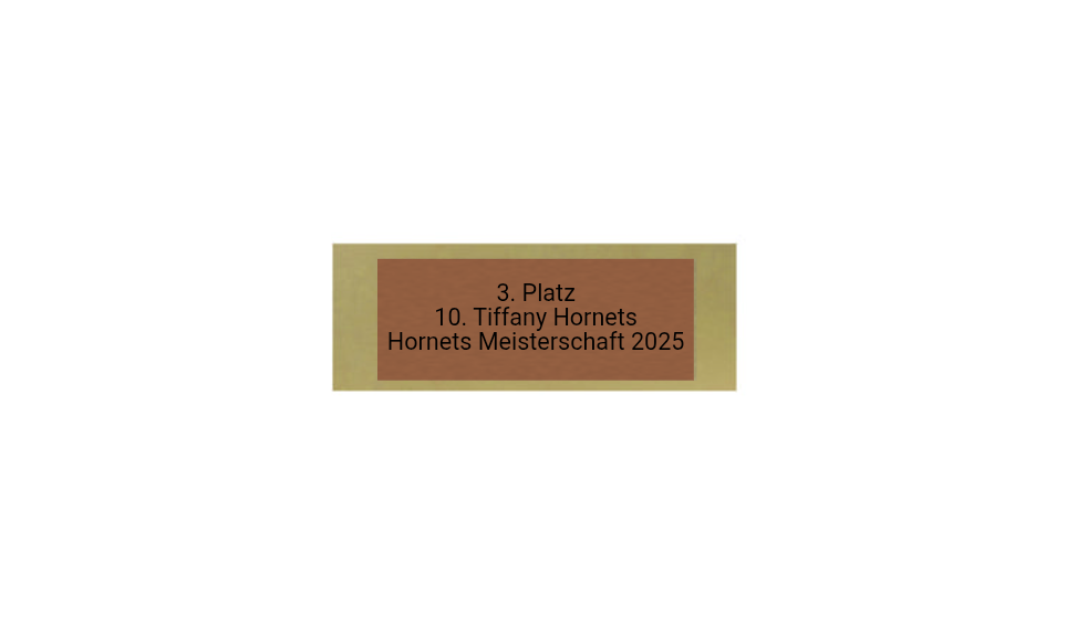 Glas Pokal Dart FG011 - 19 cm / Transparent Schwarz