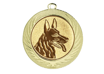 Medaille BS.ME76 Ø 70 mm - Gold / 70 mm