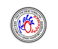 Glas Pokal 8805 blau Schild & Emblem - Silber Blau / 20 cm