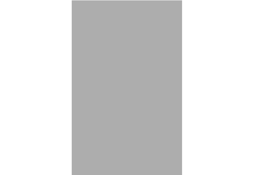 Glasbierseidel Wappen 704 - Transparent/Grau / 16 cm