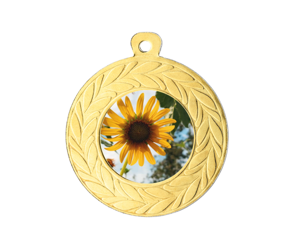 Medaille D10 Ø 45mm - Gold