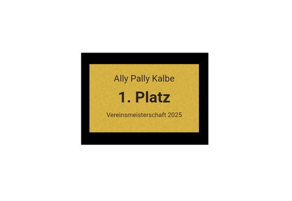 Pokalserie X161 Dart - Silber Mehrfarbig / 29.5 cm