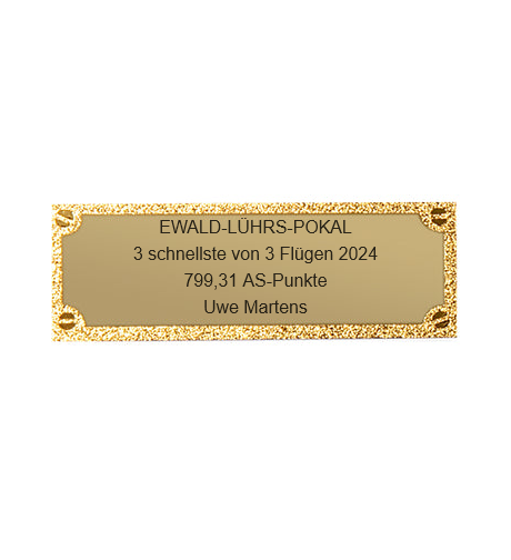Gravurschild edel in Gold - Gold / 50 x 18 mm