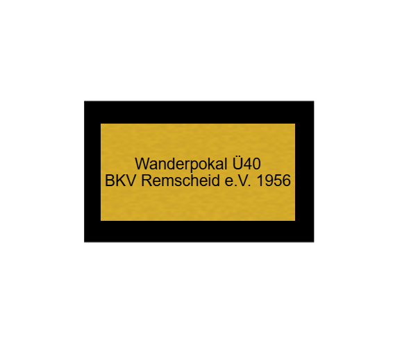 Fußball Pokal 85-3 teilweise begrenzt! - Silber Gold / 32 cm