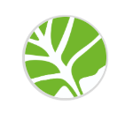 Diamant Trophäe Weiß - Glas / 21 cm