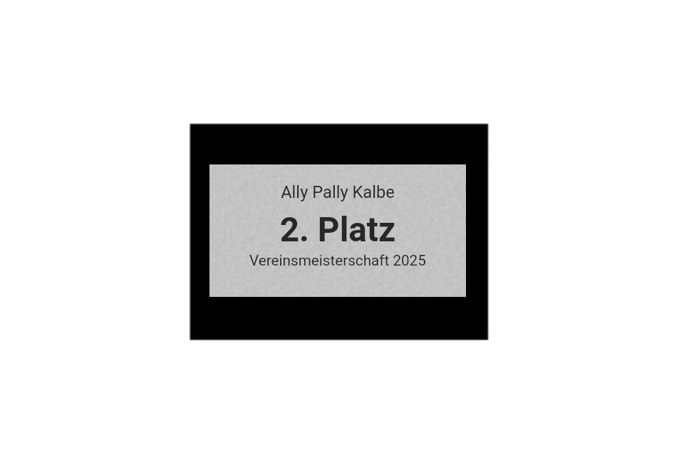Pokalserie X161 Dart - Silber Mehrfarbig / 26.5 cm