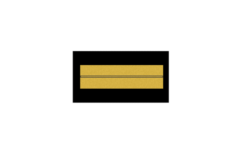 Fisch Angler Pokal - 15.7 cm / Gold Schwarz