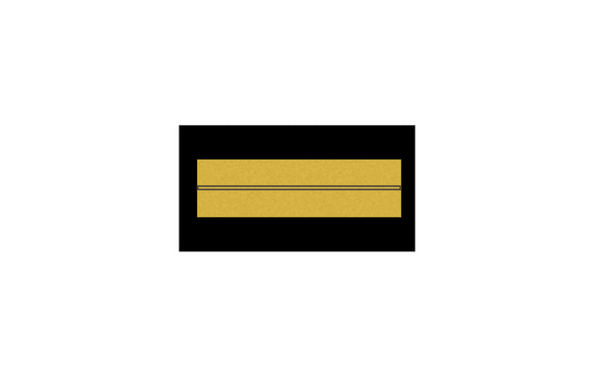 Fisch Angler Pokal - 15.7 cm / Gold Schwarz