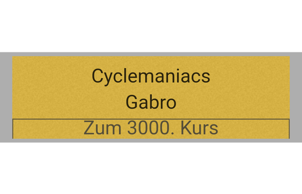 Pokal Serie 120 - 33 cm / Silber/Gold