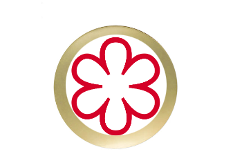 Ehrentafel 189-81 - Gold/Rot / 18 x 22 cm