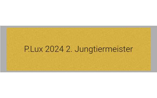 Pokal Serie 120 - 24 cm / Silber/Gold
