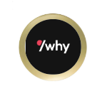 Kart Trophäe FG 303 - Gold Schwarz / 14 cm