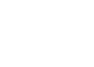 Karnevalsorden D56 - Gold / 72 x 85 x3mm