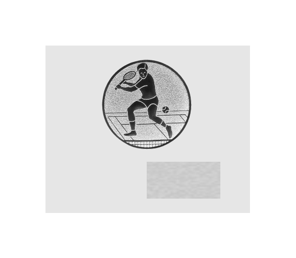 Ehrentafel 187-2 - Gold/Blau / 25 x 20 cm