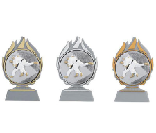 Pokal Judo Q120_FG004 SM - Auswahl Gold / 13.5 cm