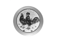 Ehrentafel G23 - Silber / 20x15cm