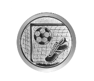 Fußball Pokal  3947x - Silber Gold / 15 cm