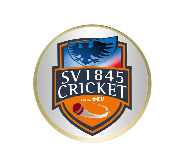 Henkelpokal Serie TRS213 - 27.5 cm / Gold