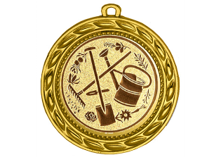 Medaille 9175 Ø 70 mm - Gold / 70mm