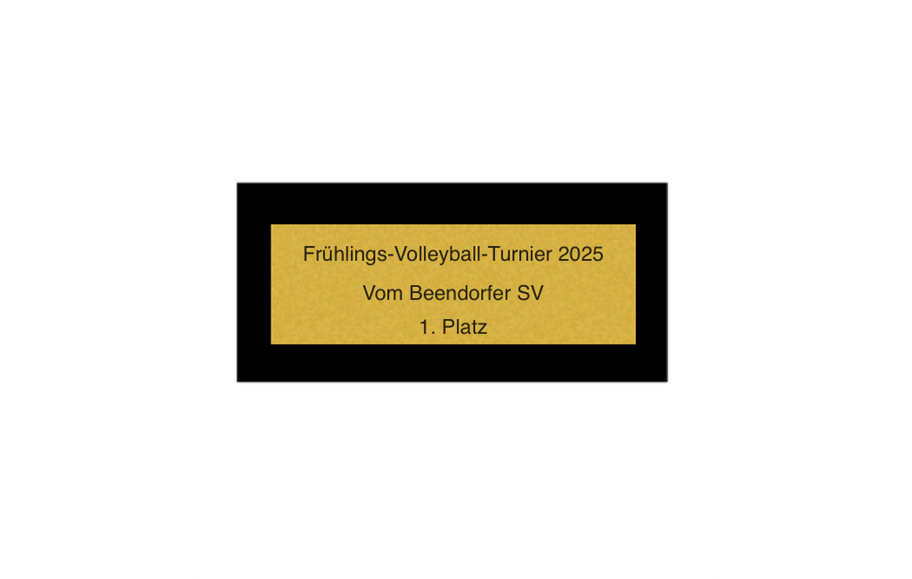 Holz Pokal Volleyball FG007 - 23 cm / Braun